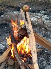 Lagerfeuer mit Apfel